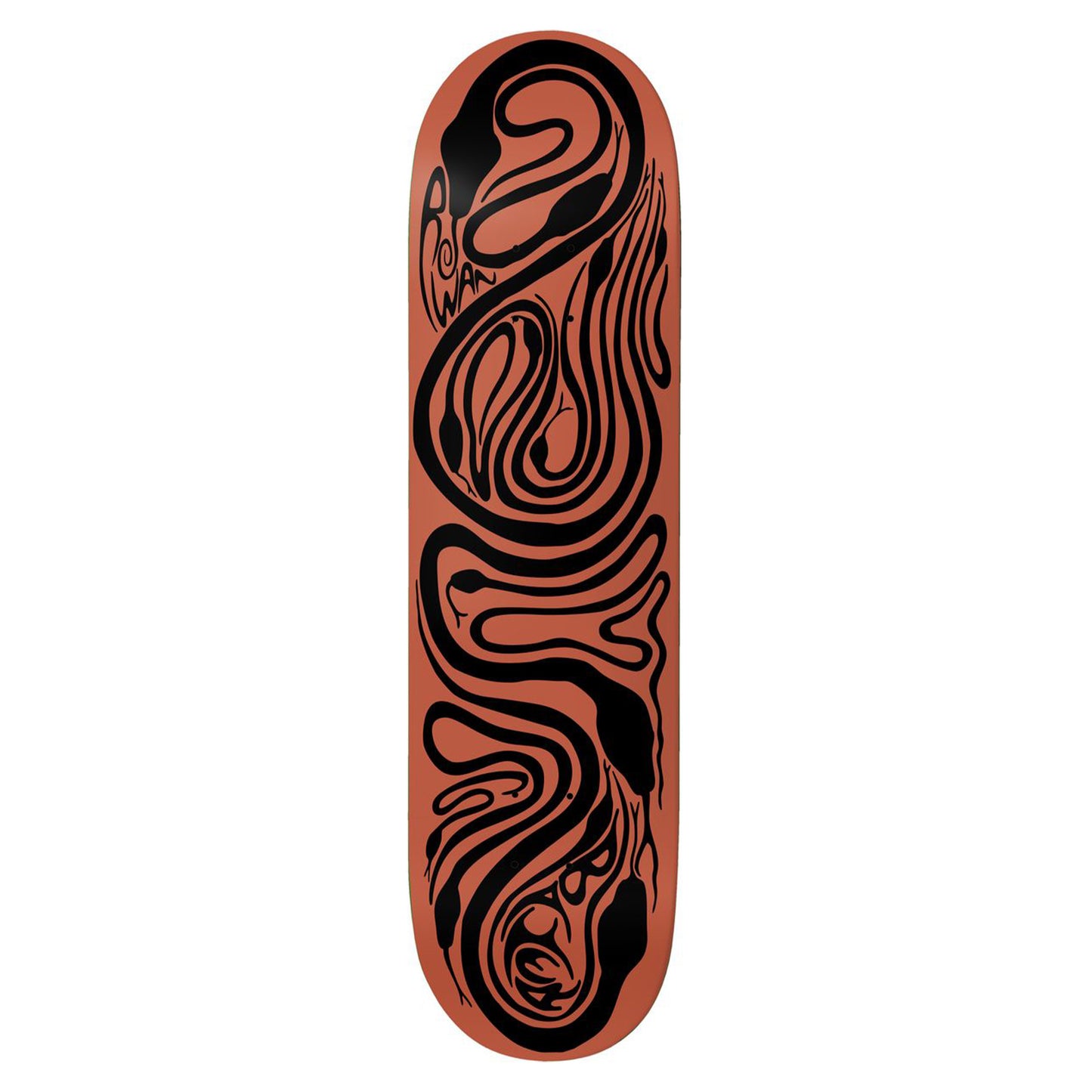 Brain Rabies Zorilla Deck, 8.125"