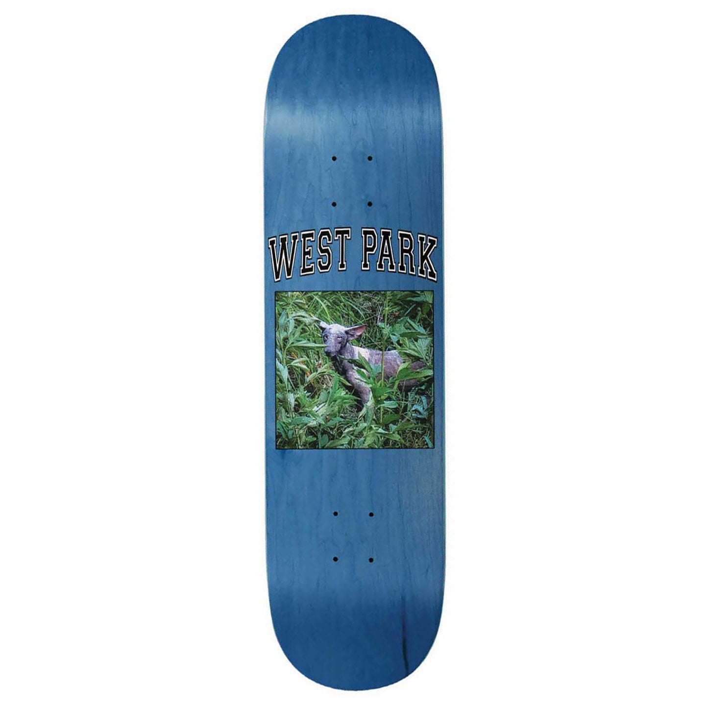 Loreth Angel Deck, 8.6