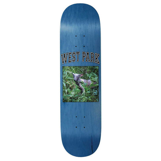 Loreth Angel Deck, 8.6